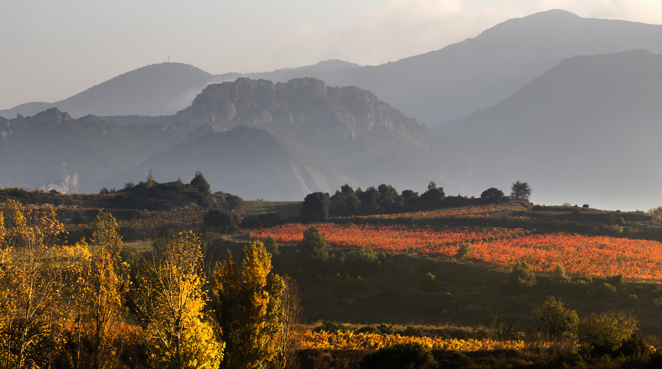 Turismo La Rioja otoño